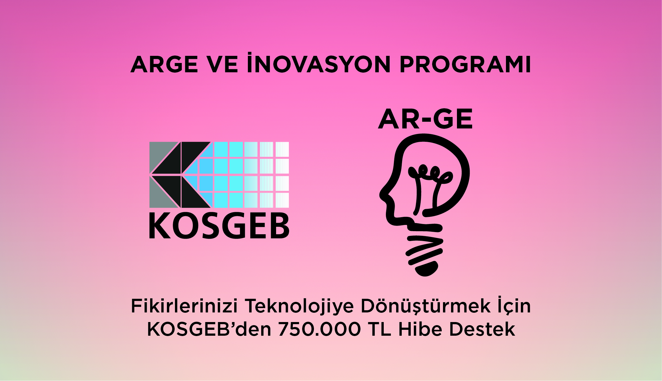 AR-GE ve İnovasyon Destek Programı